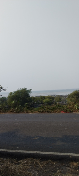3 BHK Farm House 40 Guntha for Sale in Murud, Raigad