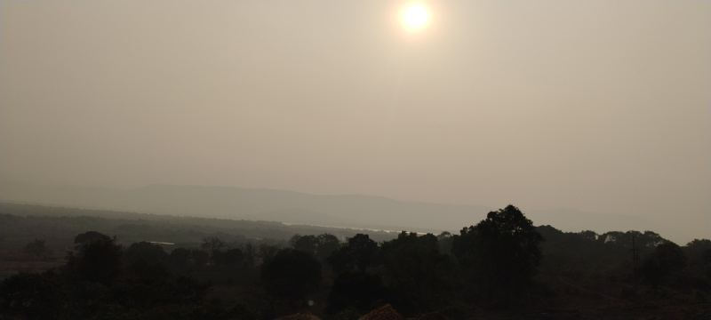  Agricultural Land 31 Acre for Sale in Alibag, Raigad
