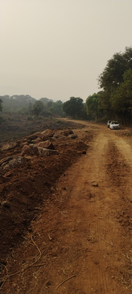  Agricultural Land 31 Acre for Sale in Alibag, Raigad