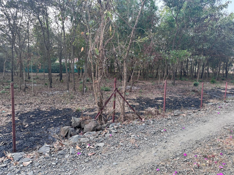  Agricultural Land 53 Guntha for Sale in Mandwa, Alibag, Raigad