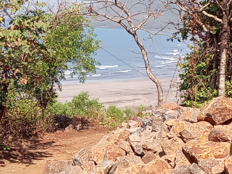  Agricultural Land 9 Acre for Sale in Dapoli, Ratnagiri