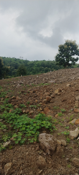  Agricultural Land 85000 Sq.ft. for Sale in Bhor, Pune
