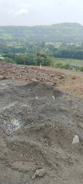  Agricultural Land 85000 Sq.ft. for Sale in Bhor, Pune