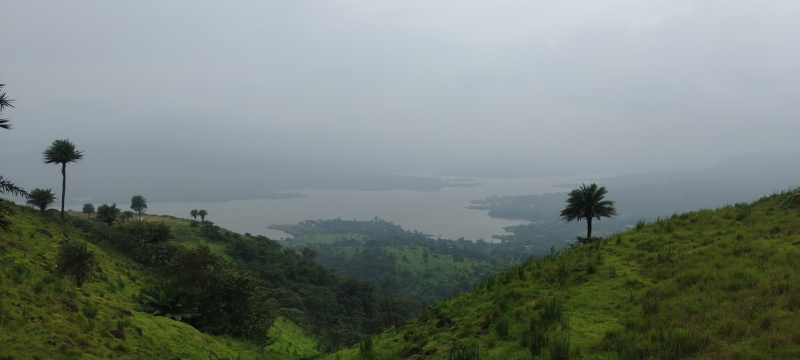  Agricultural Land 11000 Sq.ft. for Sale in Bhor, Pune