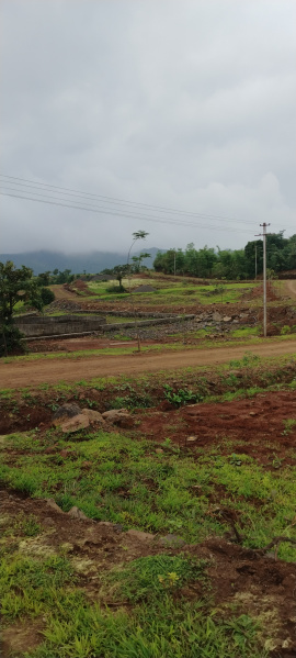  Agricultural Land 10999 Sq.ft. for Sale in Velhe, Pune