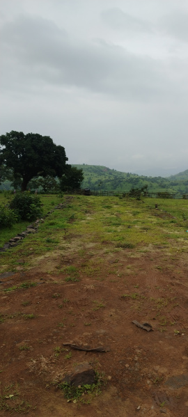  Agricultural Land 10999 Sq.ft. for Sale in Velhe, Pune
