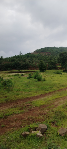  Agricultural Land 10999 Sq.ft. for Sale in Velhe, Pune