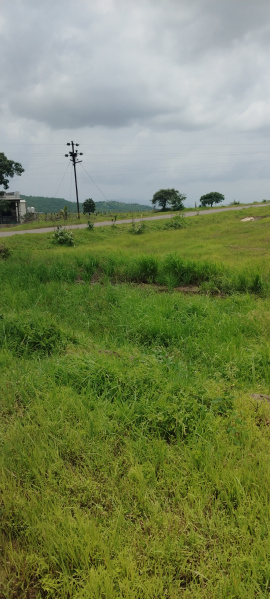  Agricultural Land 10000 Sq.ft. for Sale in Ketkawale, Pune