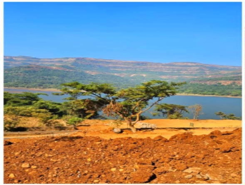  Agricultural Land 3 Acre for Sale in Mulshi, Pune