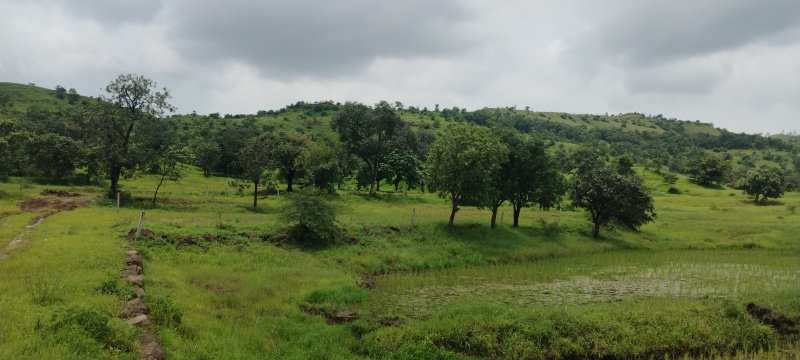  Agricultural Land 11000 Sq.ft. for Sale in Ketkawale, Pune