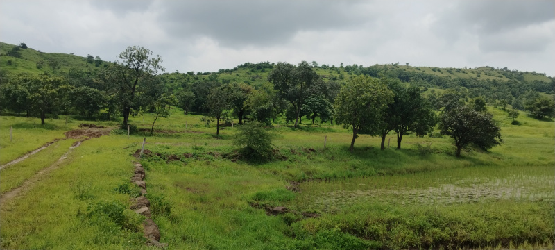  Agricultural Land 11000 Sq.ft. for Sale in Ketkawale, Pune