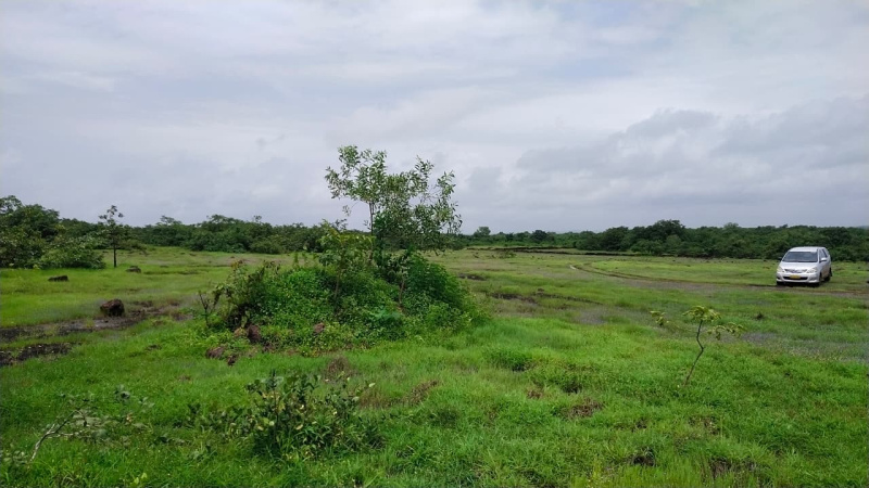  114 Acre Agricultural/Farm Land for Sale in Ganpatipule, Ratnagiri