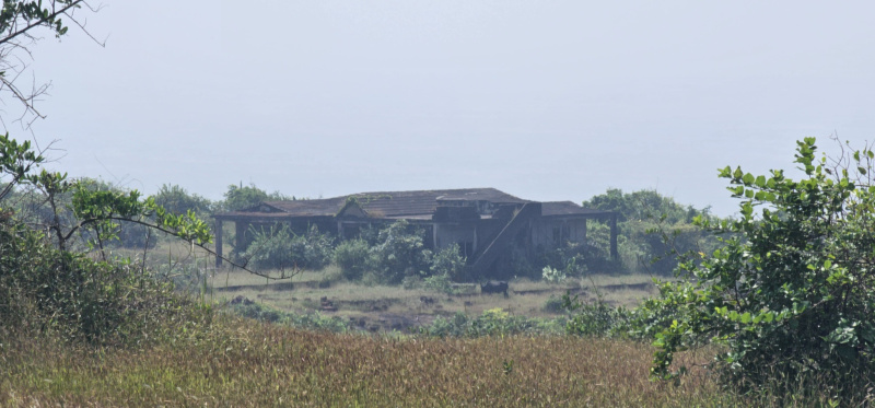 300 Acre Agricultural/Farm Land for Sale in Devgad, Sindhudurg