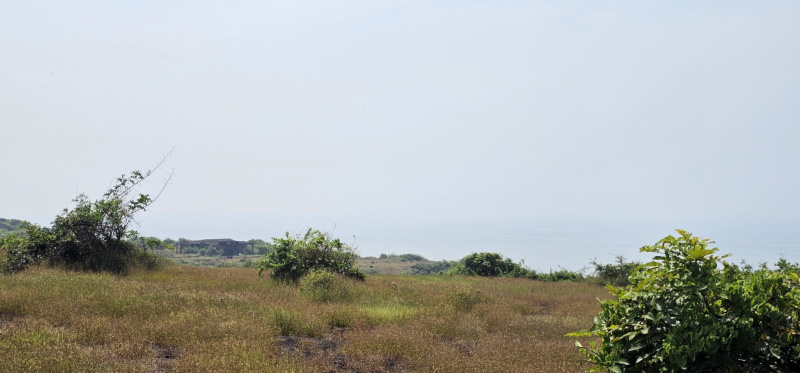 300 Acre Agricultural/Farm Land for Sale in Devgad, Sindhudurg