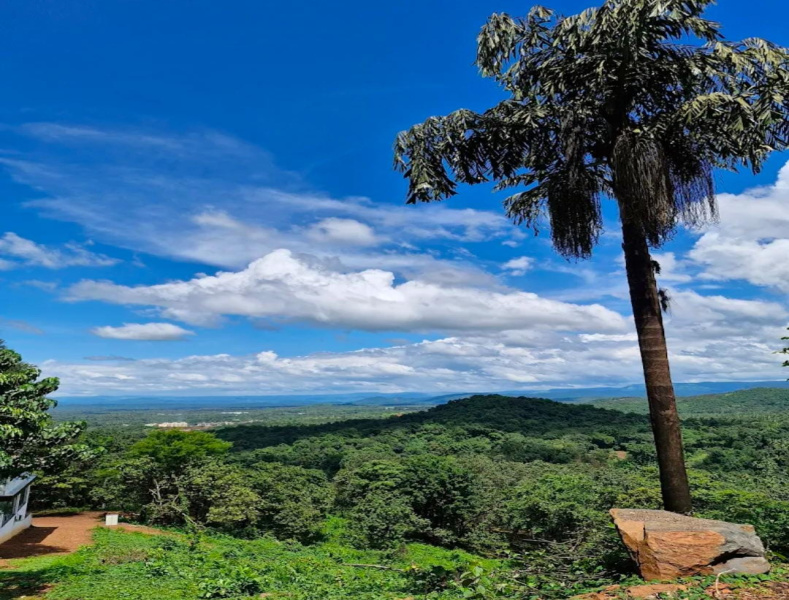  350 Sq. Yards Residential Plot for Sale in Mopa, Goa