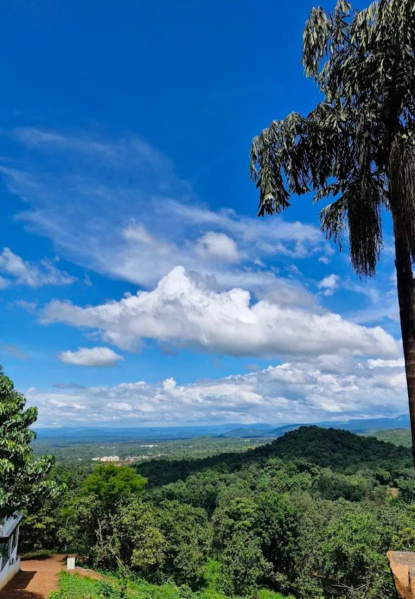  350 Sq. Yards Residential Plot for Sale in Mopa, Goa