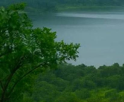  45 Acre Agricultural/Farm Land for Sale in Mulshi, Pune