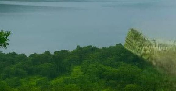  45 Acre Agricultural/Farm Land for Sale in Mulshi, Pune