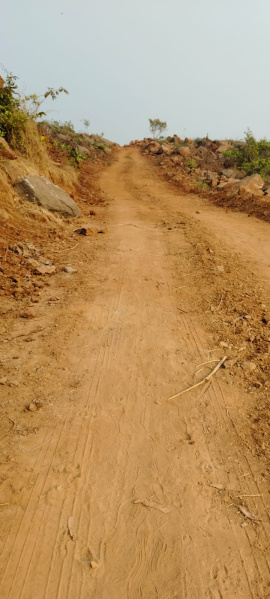  31 Acre Agricultural/Farm Land for Sale in Alibag, Raigad