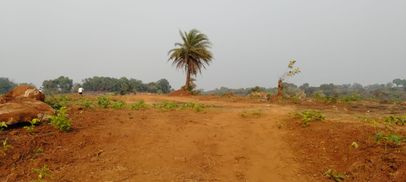  31 Acre Agricultural/Farm Land for Sale in Alibag, Raigad