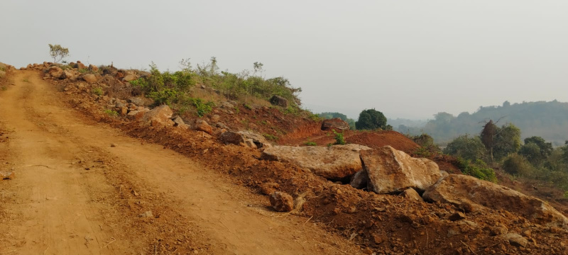  31 Acre Agricultural/Farm Land for Sale in Alibag, Raigad