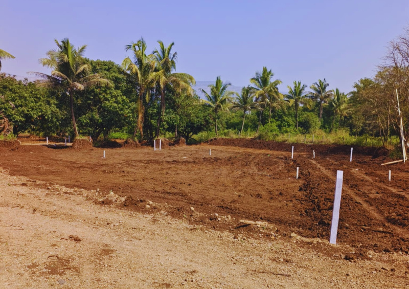  11000 Sq.ft. Agricultural/Farm Land for Sale in Mulshi, Pune
