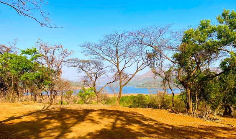  17 Acre Agricultural/Farm Land for Sale in Mulshi, Pune