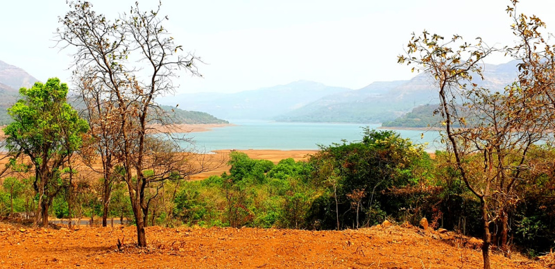  17 Acre Agricultural/Farm Land for Sale in Mulshi, Pune