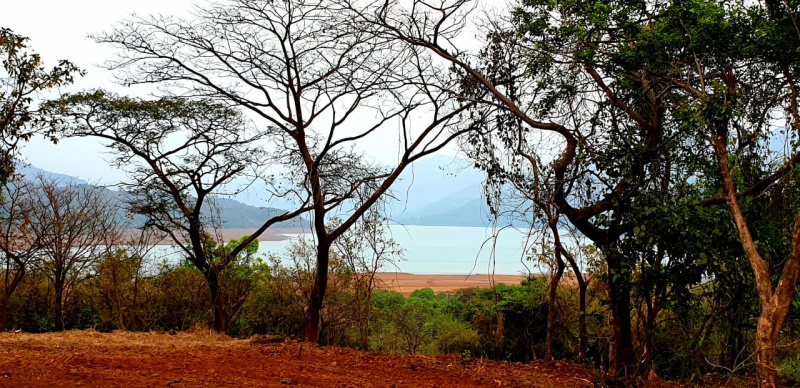  17 Acre Agricultural/Farm Land for Sale in Mulshi, Pune