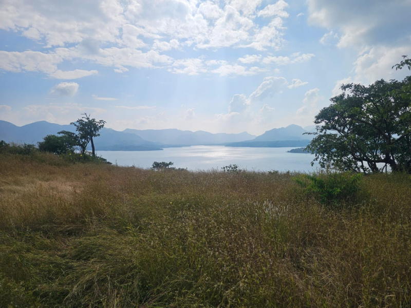  12 Acre Agricultural/Farm Land for Sale in Mulshi, Pune