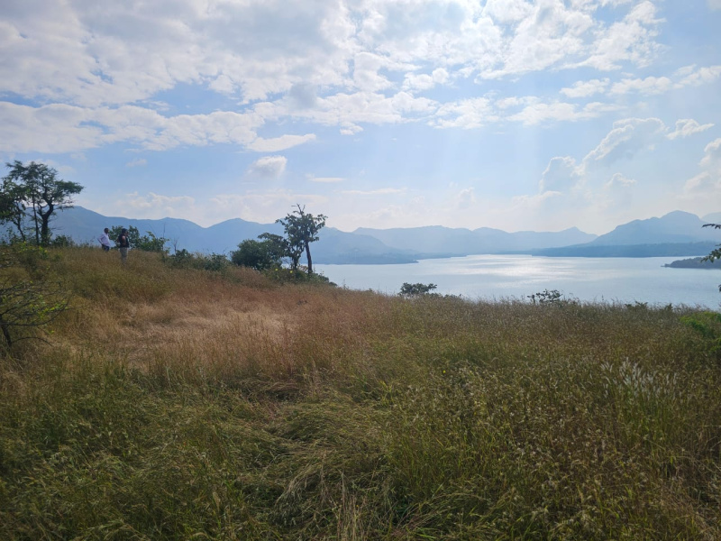  12 Acre Agricultural/Farm Land for Sale in Mulshi, Pune