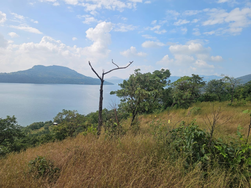  12 Acre Agricultural/Farm Land for Sale in Mulshi, Pune