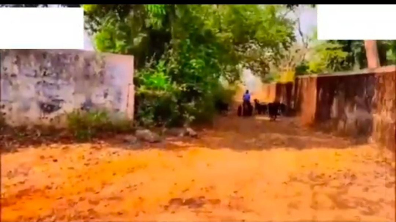  15 Acre Agricultural/Farm Land for Sale in Karjat, Mumbai