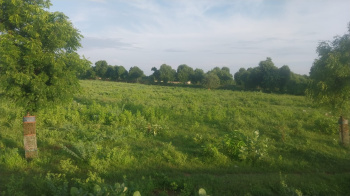 1 BHK Farm House for Sale in Sindrath, Sirohi