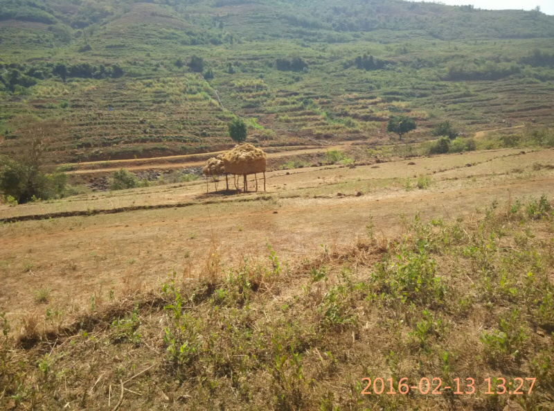  Residential Plot 380 Acre for Sale in Kushivade, Chiplun
