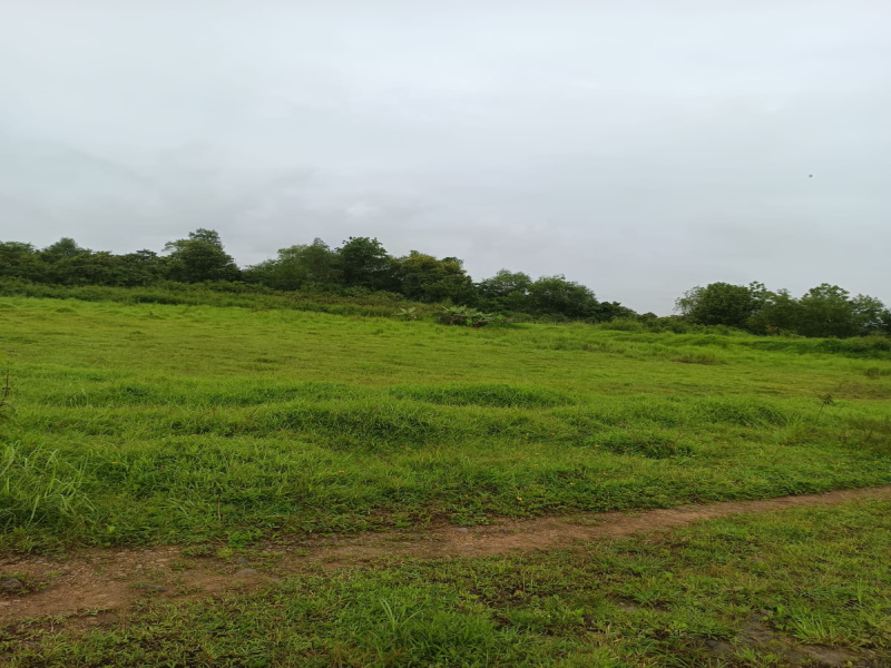  Agricultural Land 18 Acre for Sale in Kudal, Sindhudurg