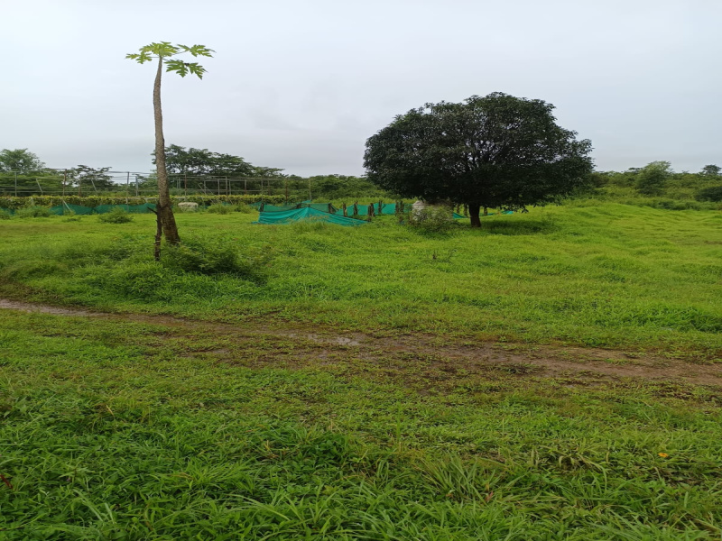  Agricultural Land 18 Acre for Sale in Kudal, Sindhudurg