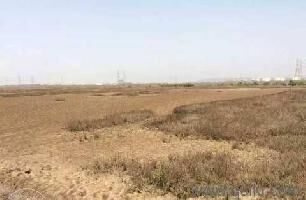  Commercial Land for Sale in Uran, Navi Mumbai
