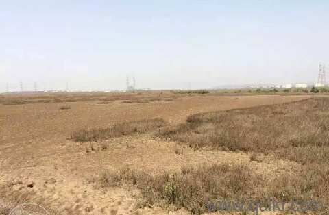  Commercial Land 1089 Sq.ft. for Sale in Uran, Navi Mumbai