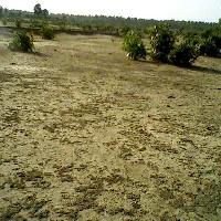  Residential Plot for Sale in Sector 9 Sonipat