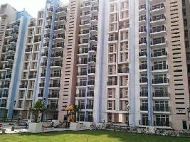 5 BHK Flat for Sale in Sector 35 Sonipat