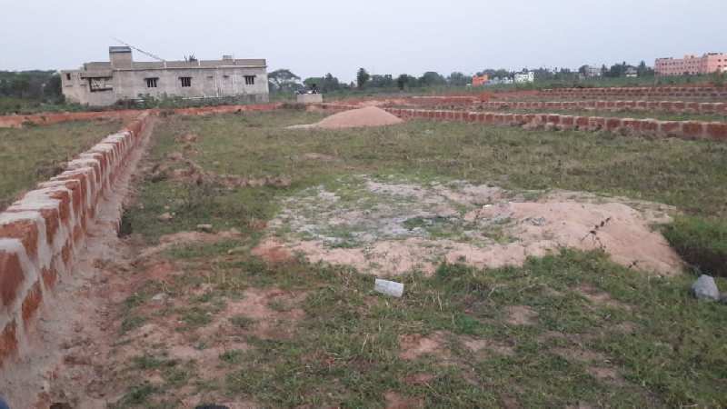Residential Plot 1200 Sq.ft. for Sale in Balikuda, Cuttack