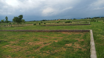  Residential Plot for Sale in Delhi More, Darbhanga