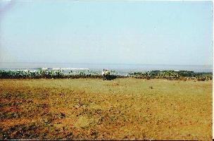  Agricultural Land for Sale in Dapoli, Ratnagiri