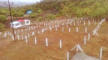  Residential Plot for Sale in Alibag, Raigad