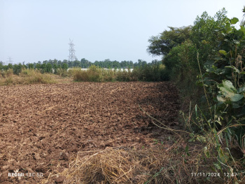  Commercial Land for Sale in Wada, Thane