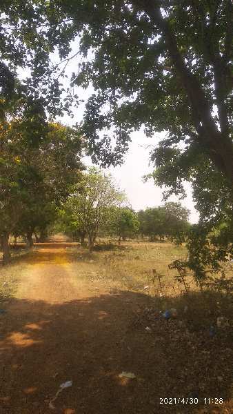  Residential Plot 2400 Sq.ft. for Sale in Kalivelapalem, Nellore