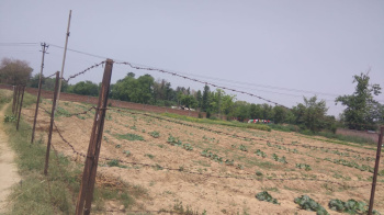  Commercial Land for Sale in Udyog Vihar, Gurgaon