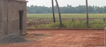  Commercial Land for Sale in Pipili, Puri