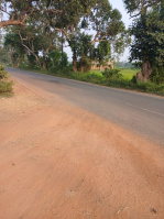  Industrial Land for Sale in Jagatpur, Cuttack